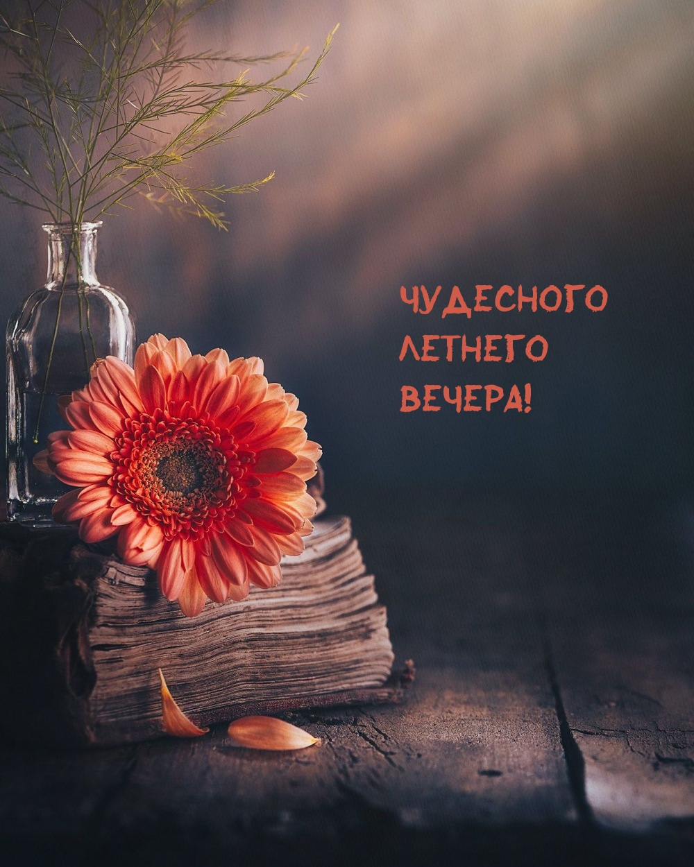 Чудесного летнего вечера!