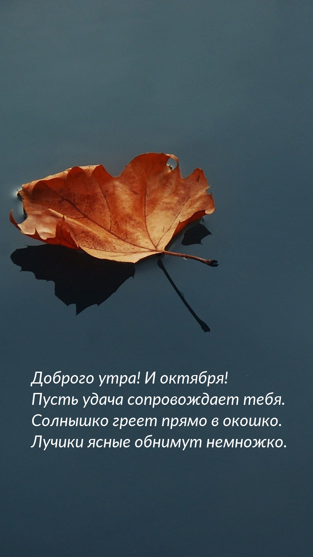 Доброго утра! И октября! Пусть удача сопровождает тебя.