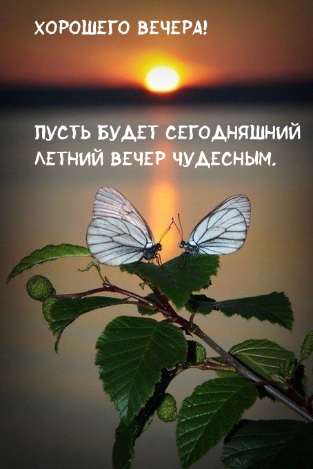 Пусть будет сегодняшний Летний вечер чудесным.
