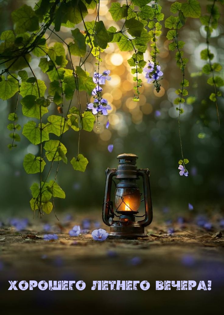 Хорошего летнего вечера!