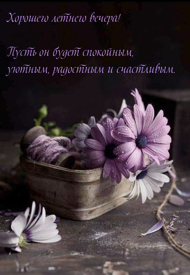 Хорошего летнего вечера! Пусть он будет спокойным