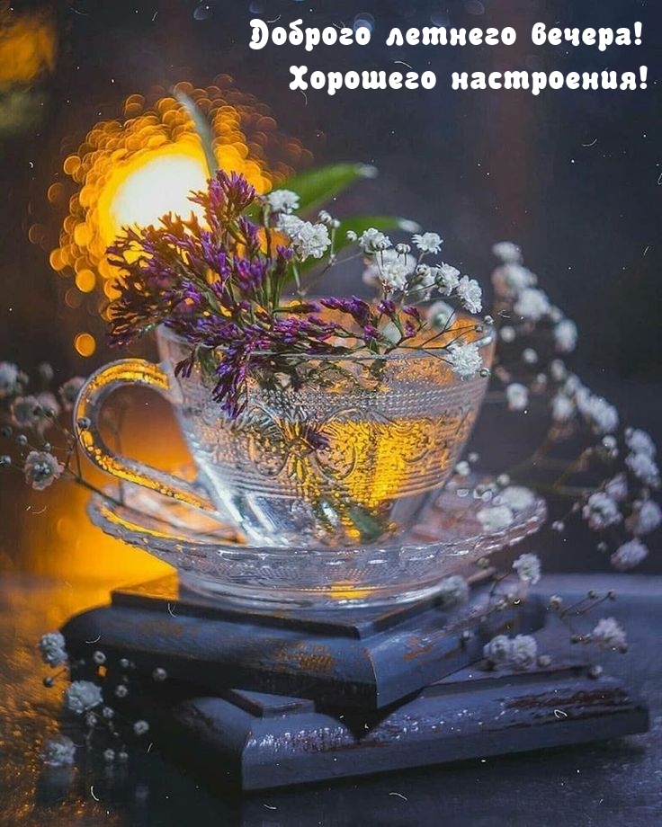 Доброго летнего вечера! Хорошего настроения!
