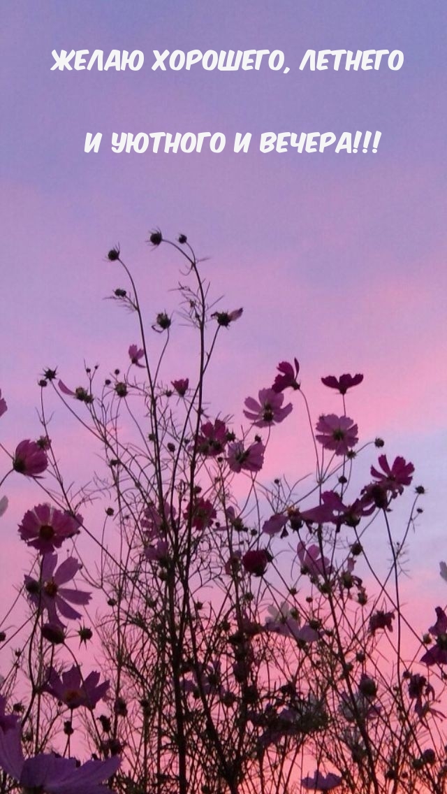 Желаю хорошего, летнего и уютного и вечера! 