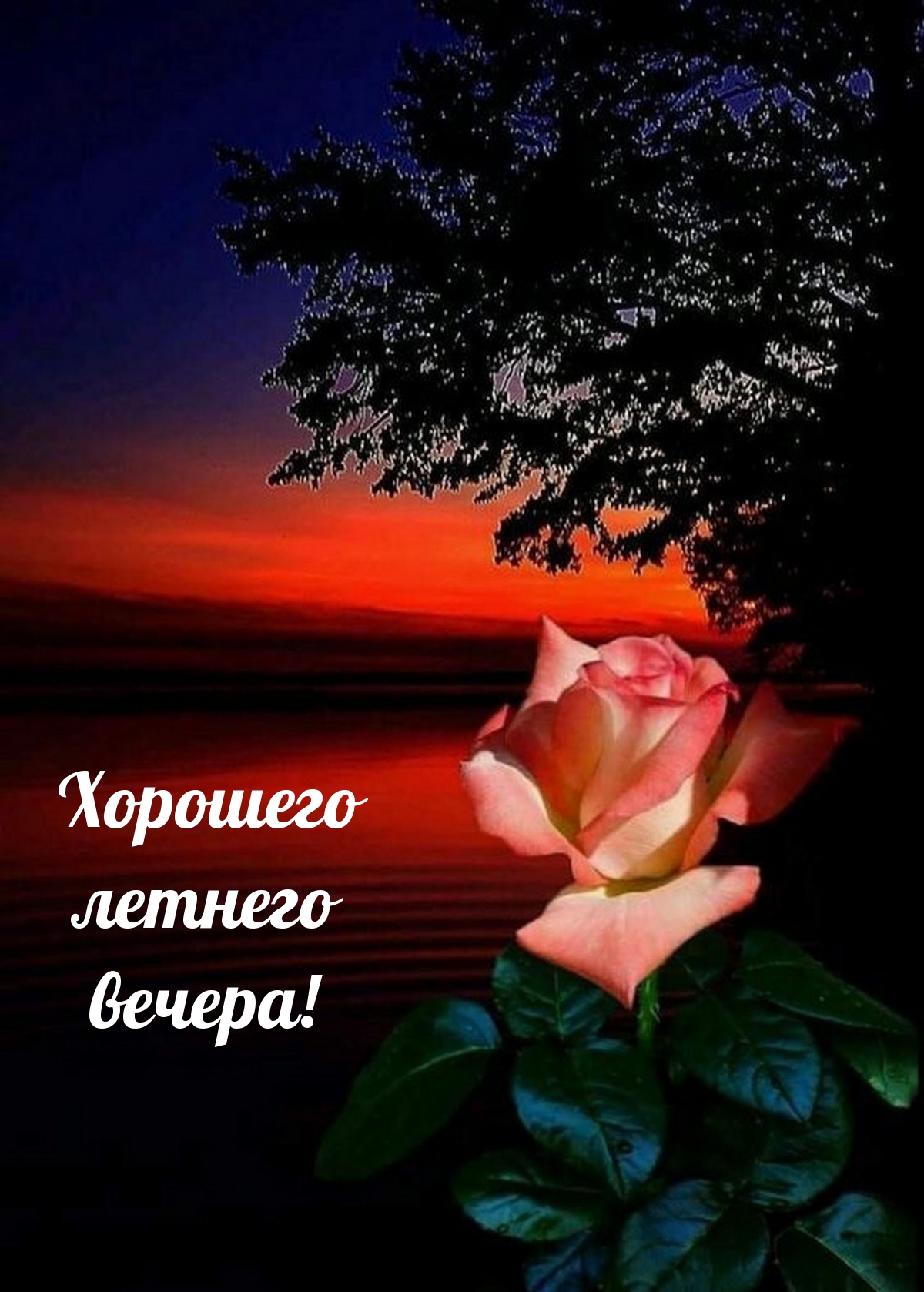 Хорошего летнего вечера!