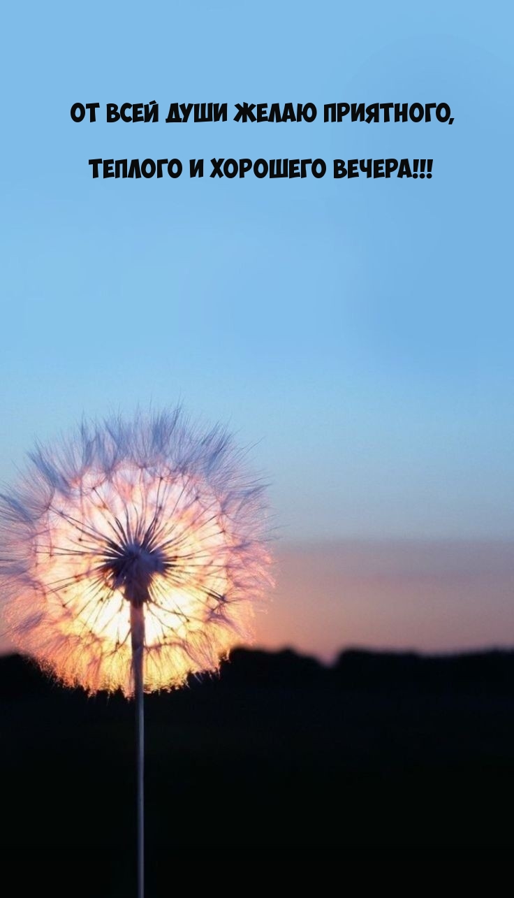 От всей души желаю приятного, теплого и хорошего вечера! 