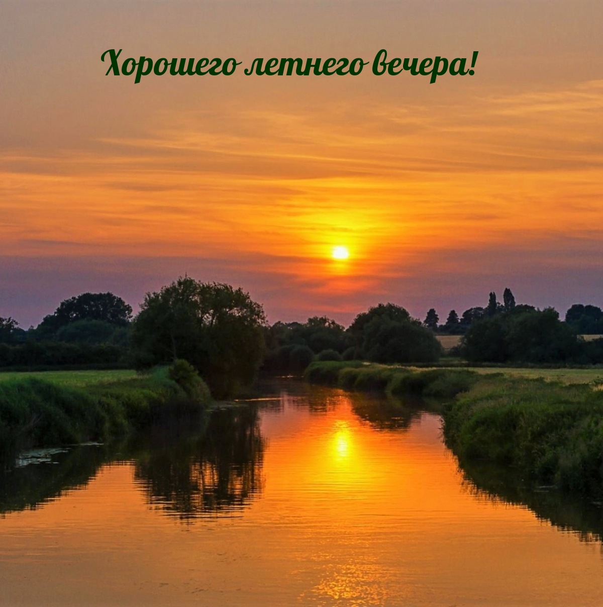 Хорошего летнего вечера!