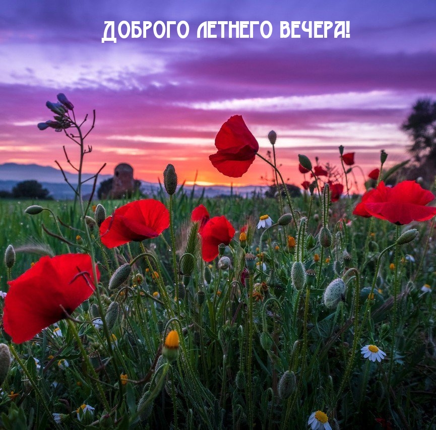 Доброго летнего вечера!