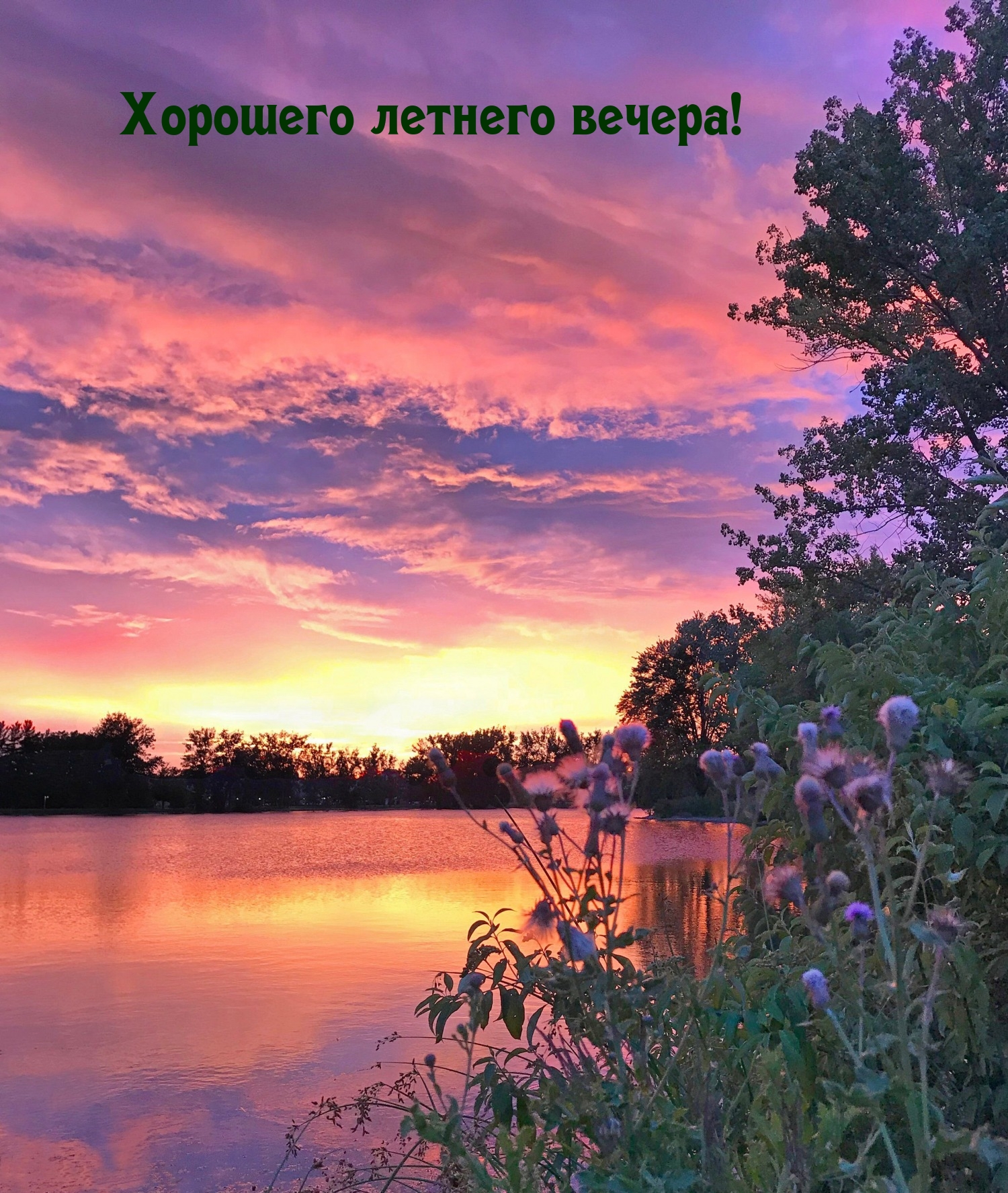 Хорошего летнего вечера!