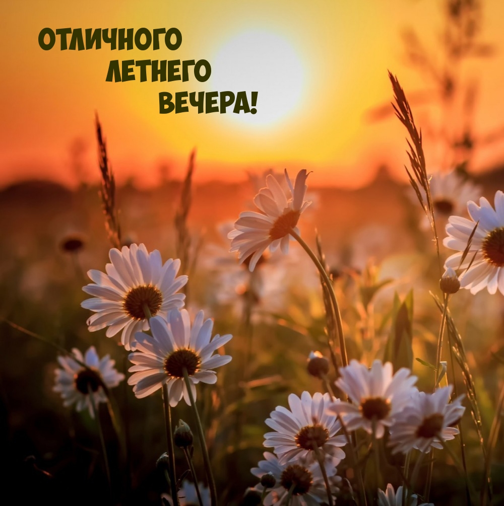 Отличного летнего вечера!