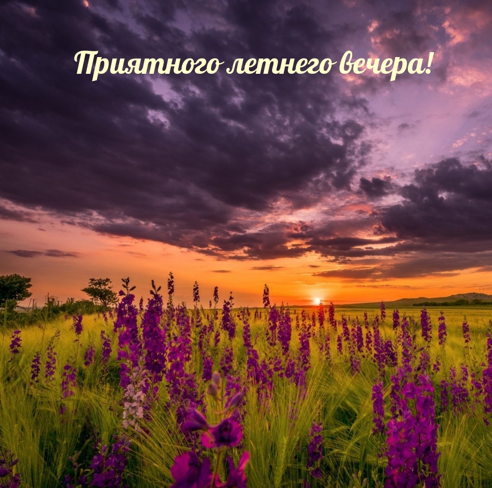 Приятного летнего вечера!