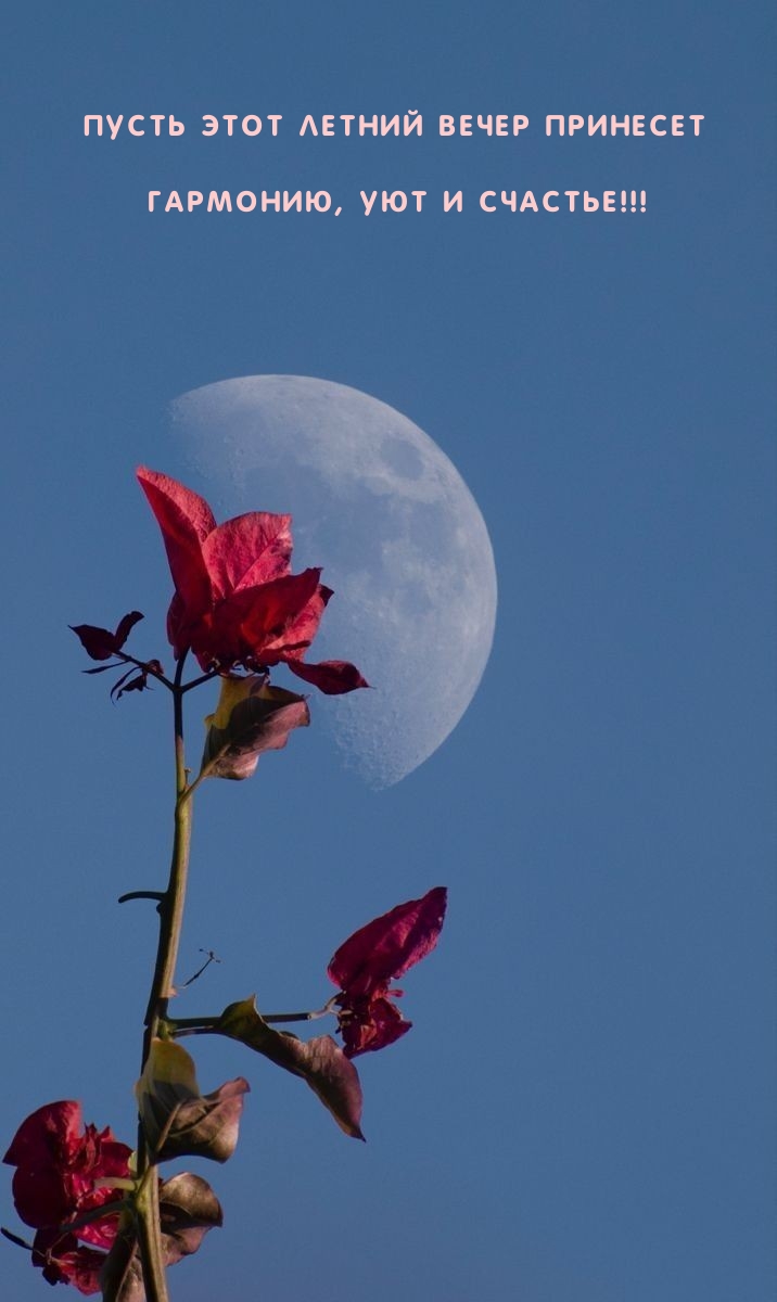 Пусть этот летний вечер принесет гармонию, уют и счастье!!! 