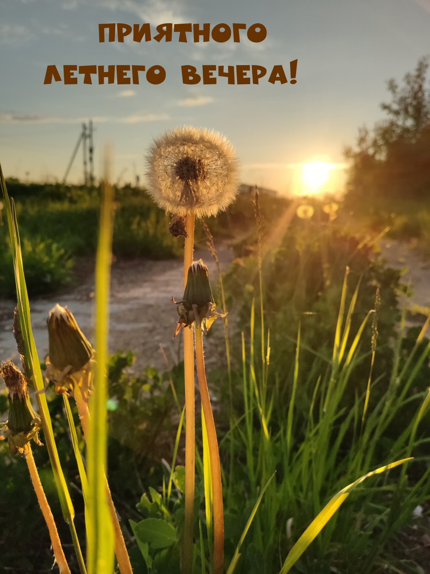 Приятного летнего вечера!