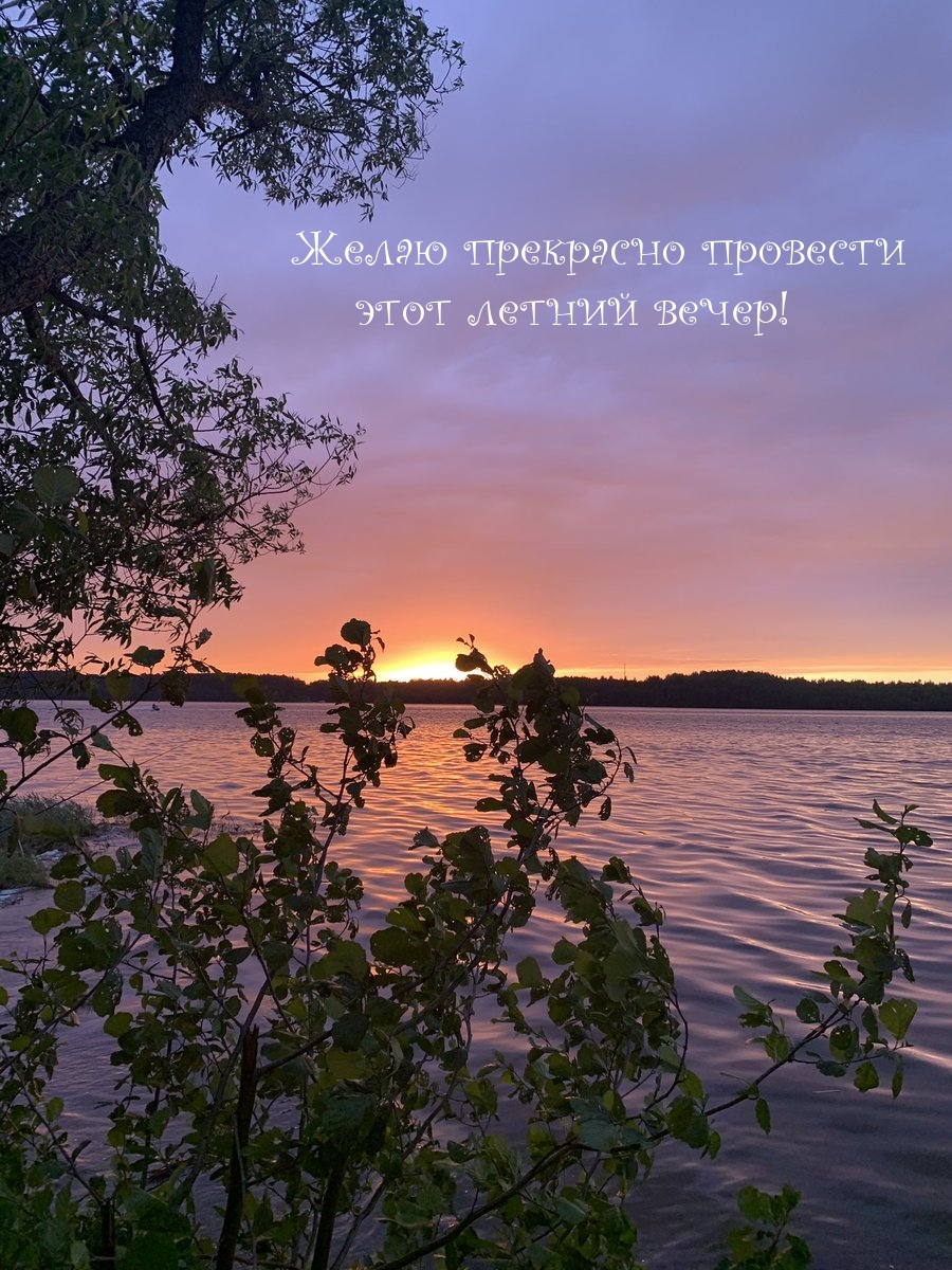 Желаю прекрасно провести этот летний вечер!