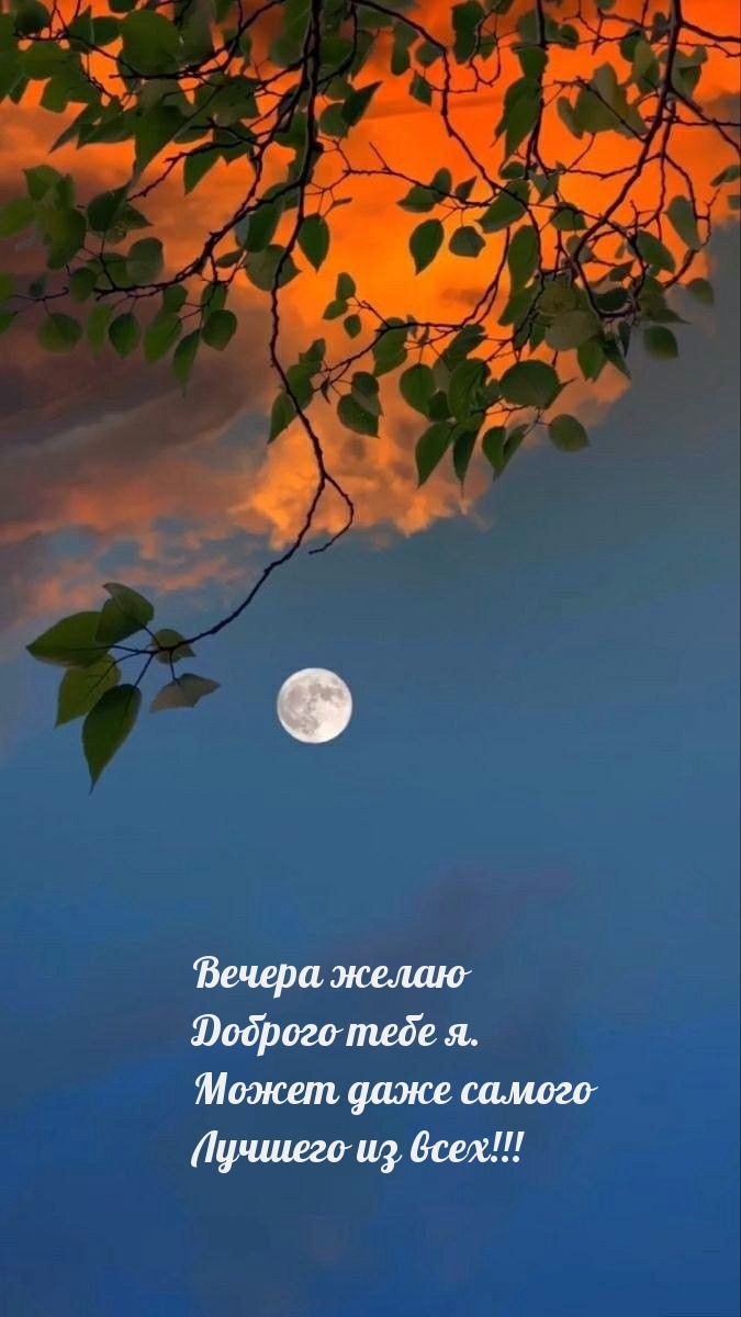 Вечера желаю Доброго тебе я. Может даже самого лучшего из всех!