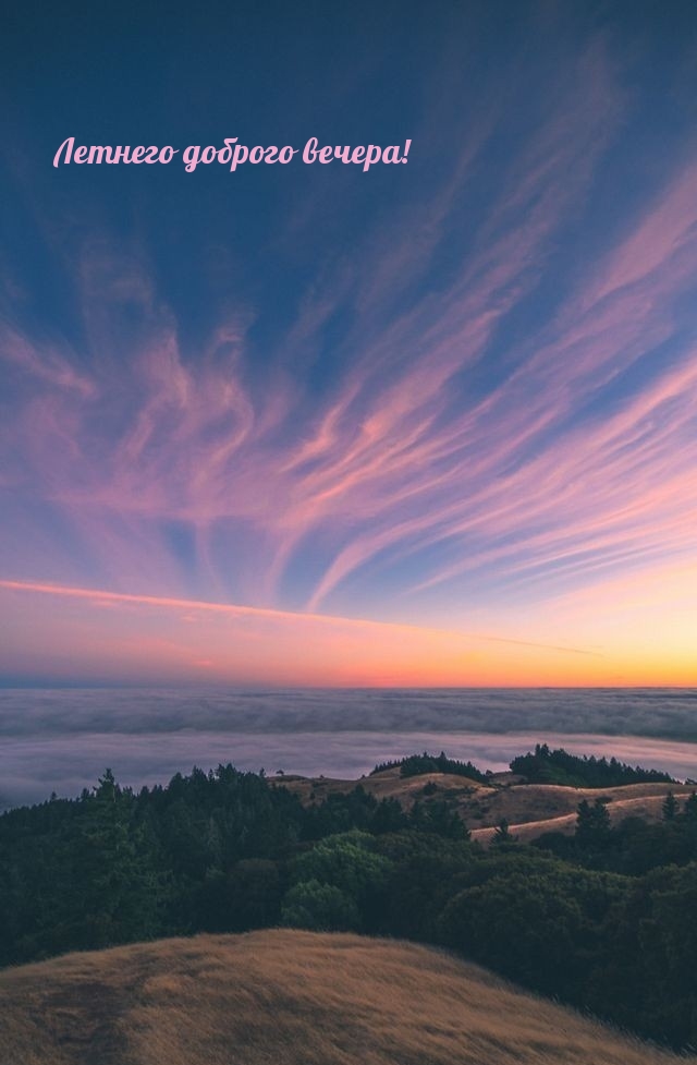 Летнего доброго вечера!