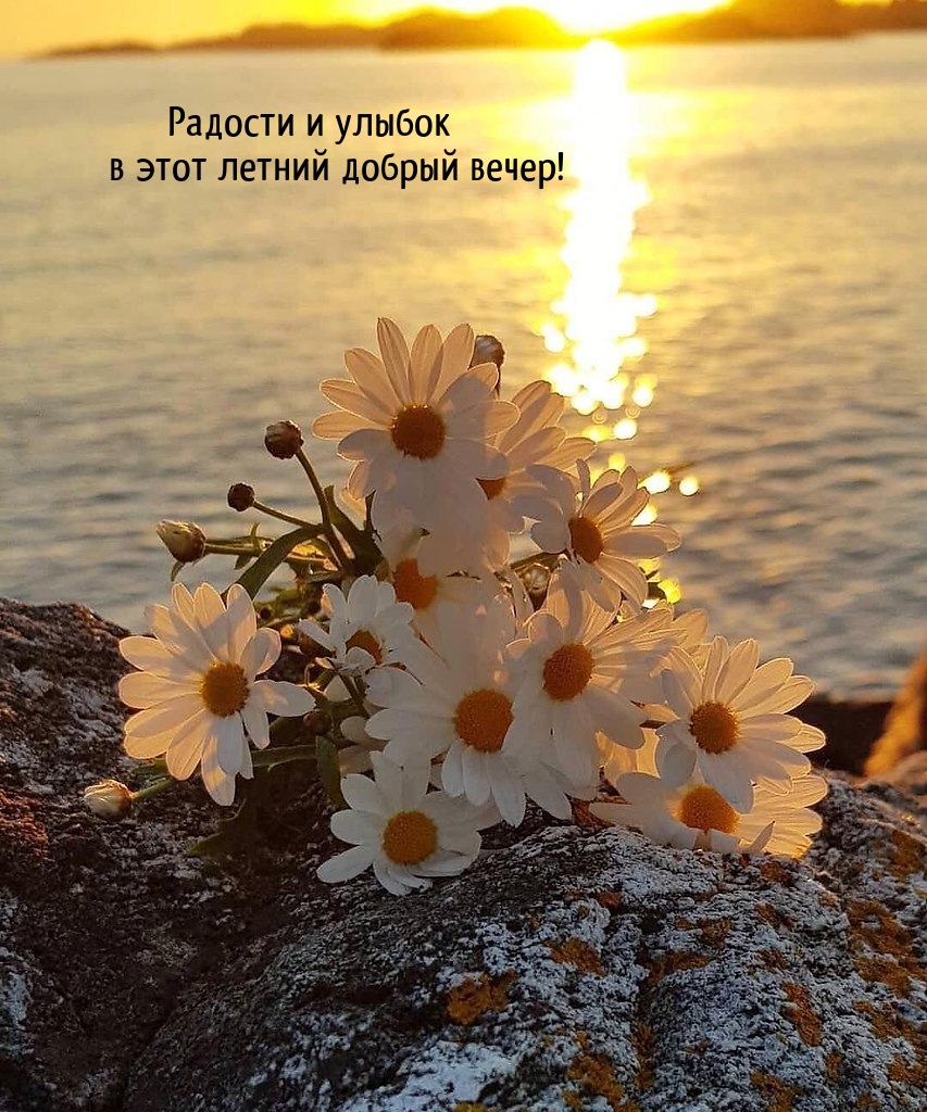 Радости и улыбок в этот летний добрый вечер!