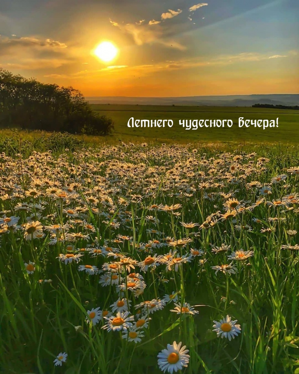 Летнего чудесного вечера!