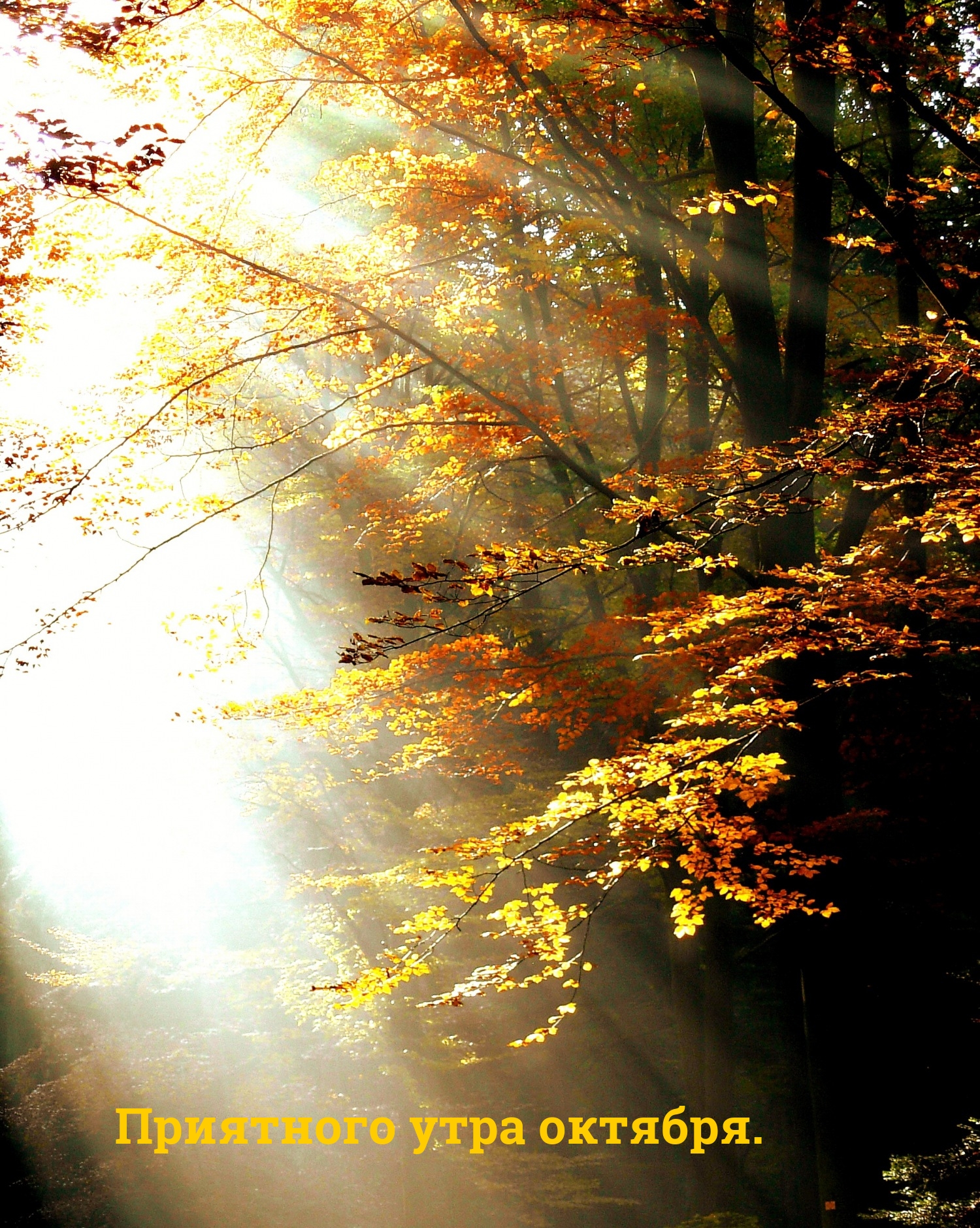 Приятного утра октября.