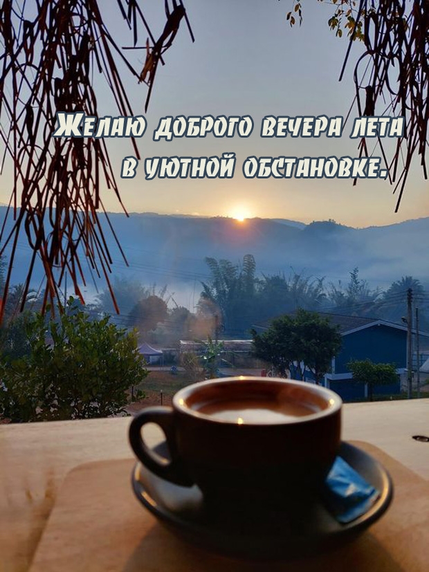 Желаю доброго вечера лета в уютной обстановке.