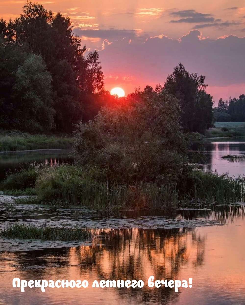 Прекрасного летнего вечера!
