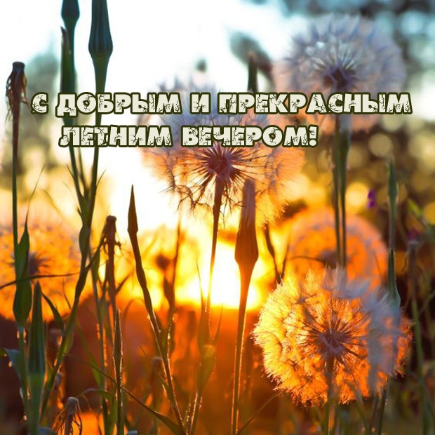 С добрым и прекрасным летним вечером!