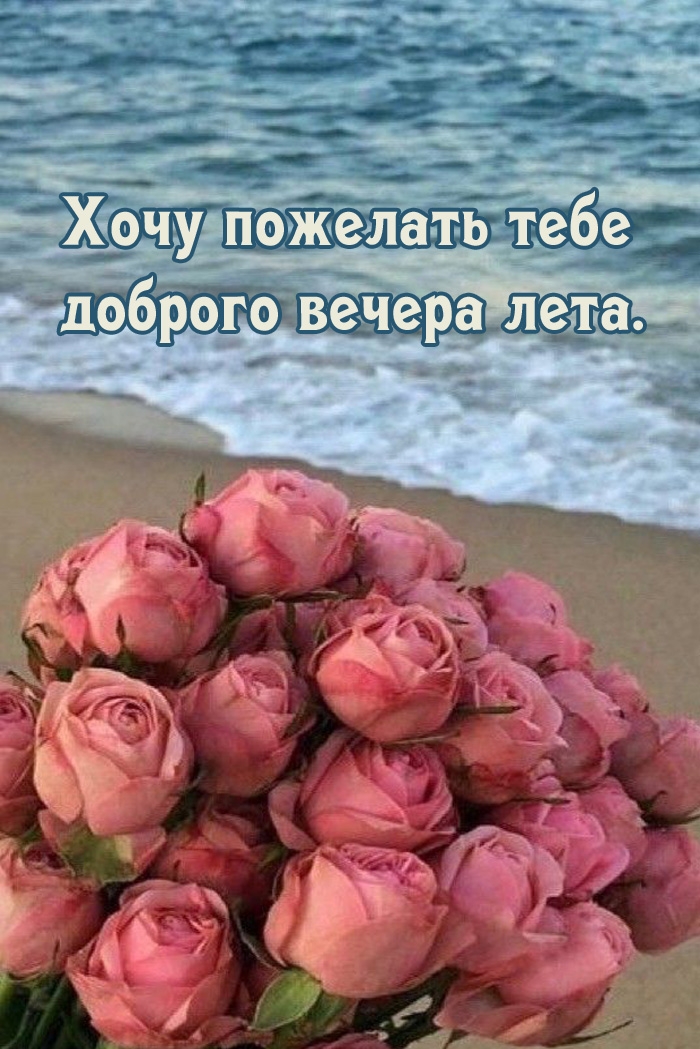 Хочу пожелать тебе доброго вечера лета.