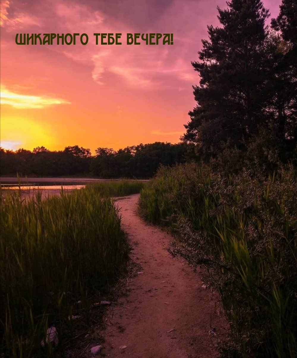 Шикарного тебе вечера!