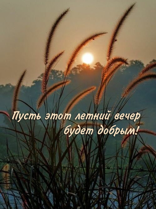 Пусть этот летний вечер будет добрым!
