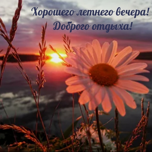 Хорошего летнего вечера! Доброго отдыха!