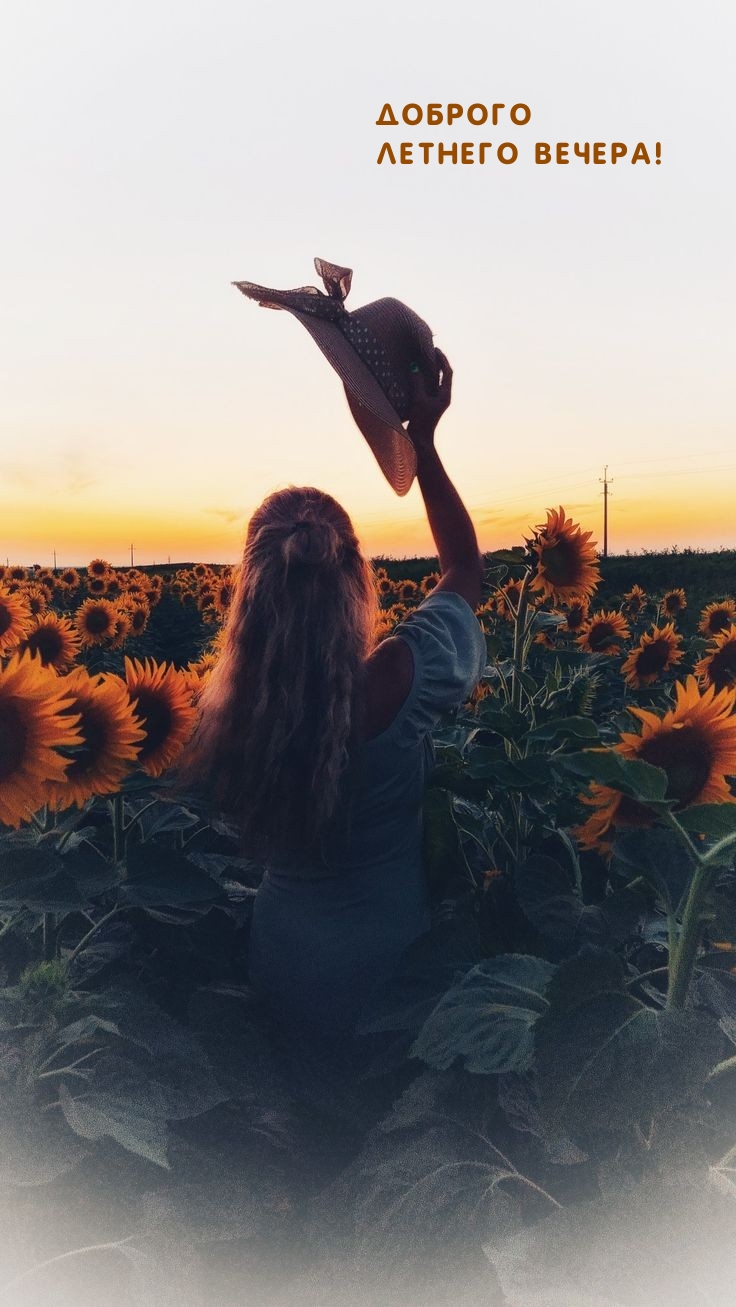 Доброго летнего вечера!
