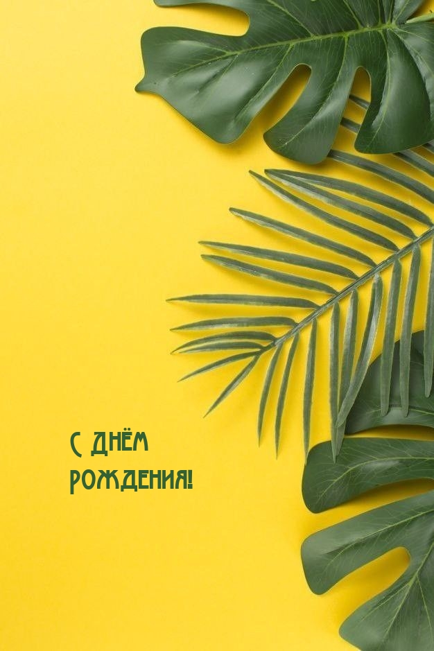 С Днём Рождения!