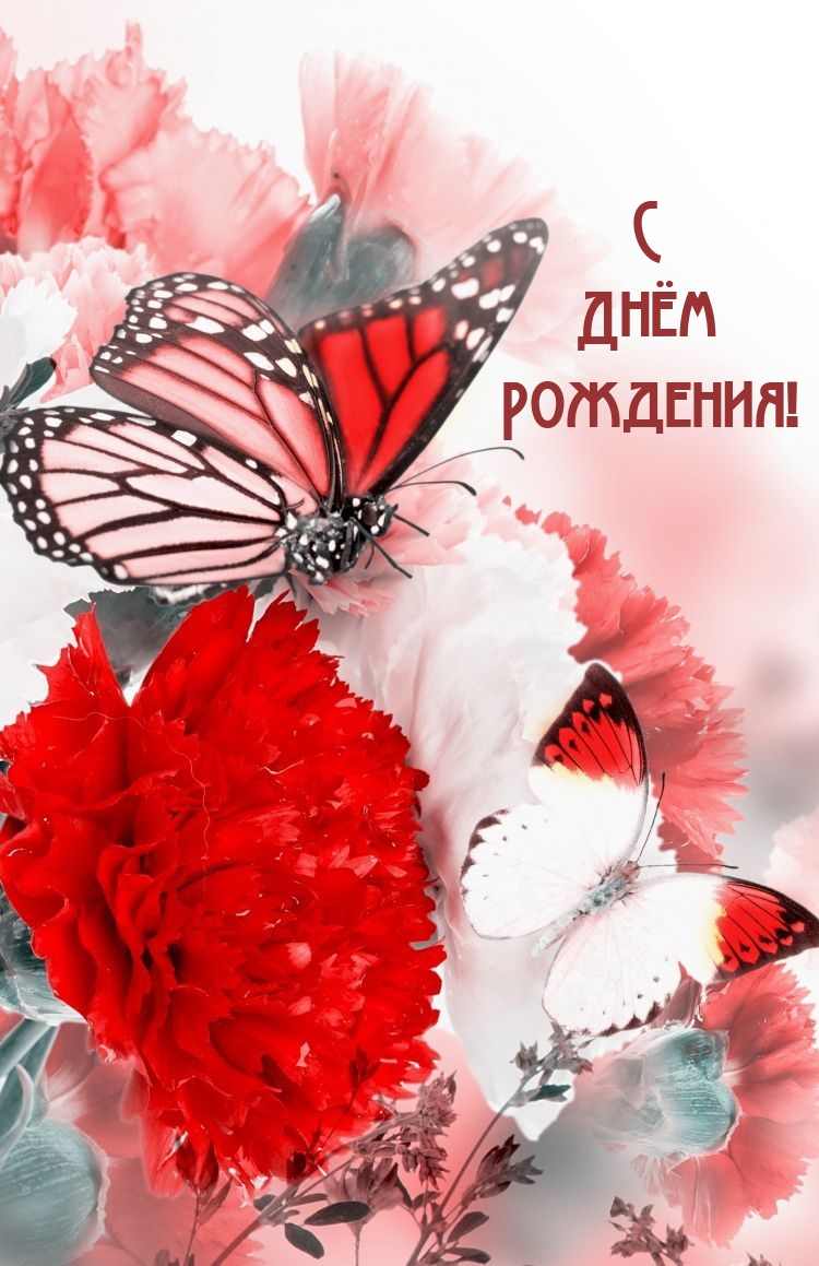 С Днём Рождения!