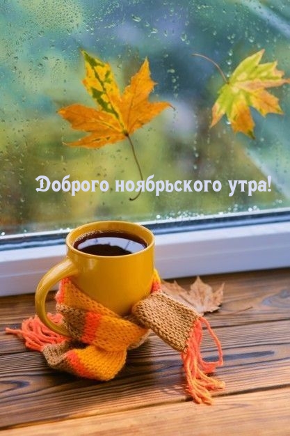 Доброго ноябрьского утра!
