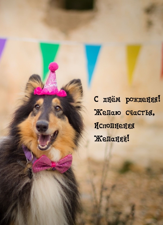 С днём рождения! Желаю счастья, исполнения желаний!