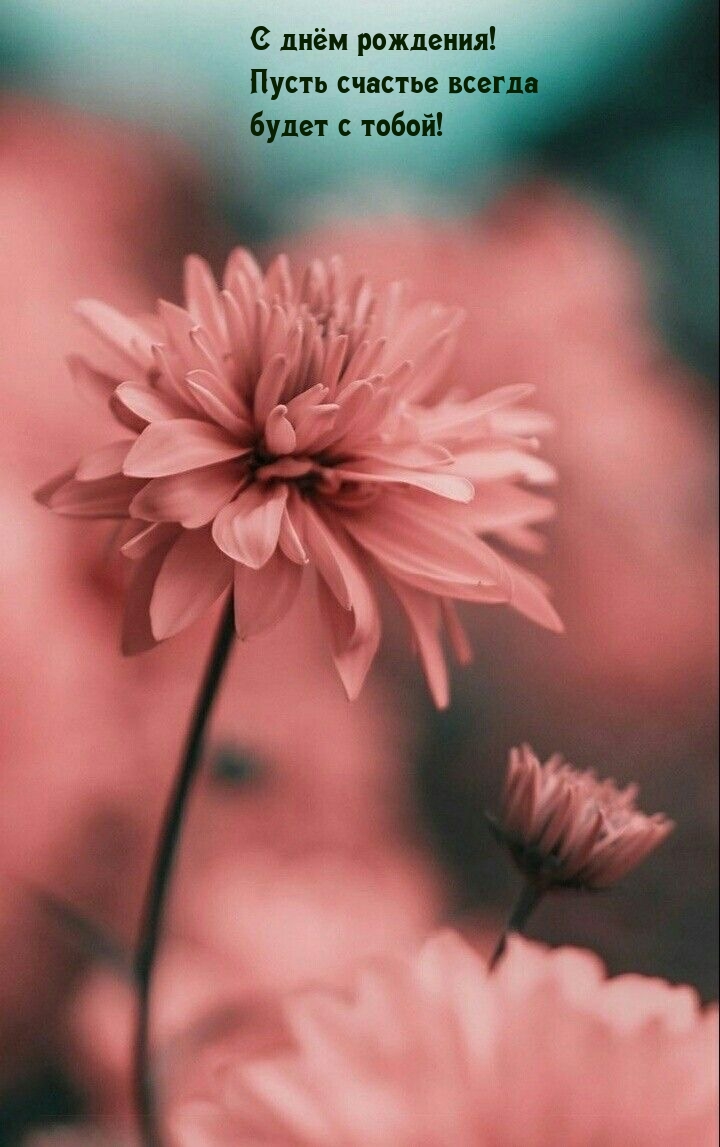 С днём рождения! Пусть счастье всегда будет с тобой!