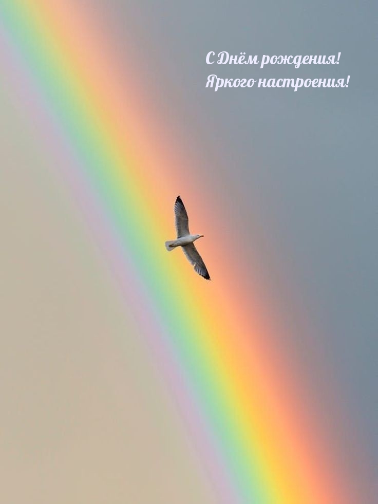 С Днём рождения! Яркого настроения! 