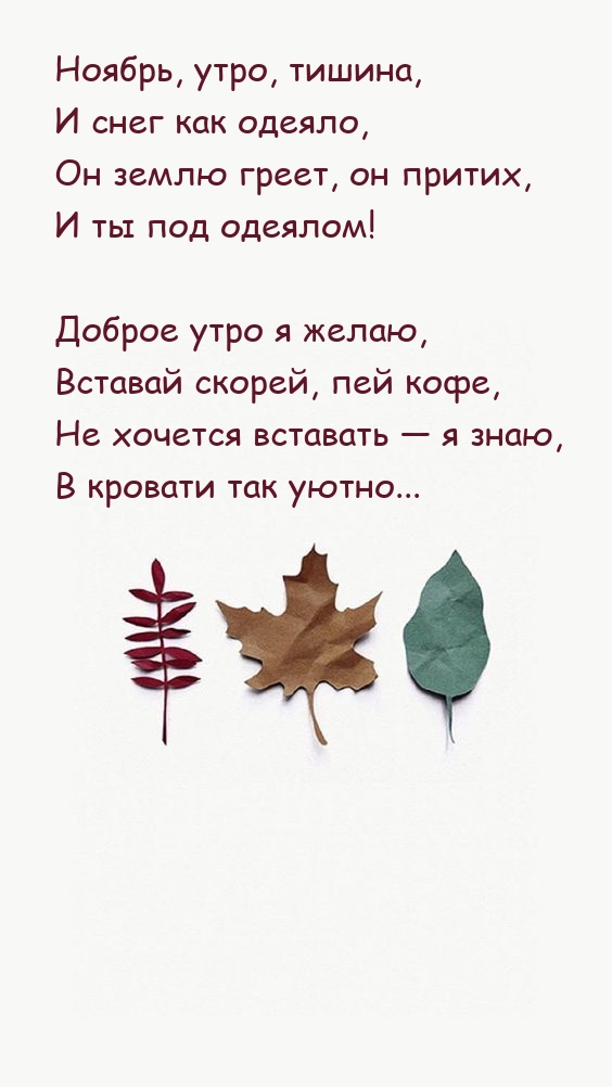 Ноябрь, утро, тишина, и снег как одеяло