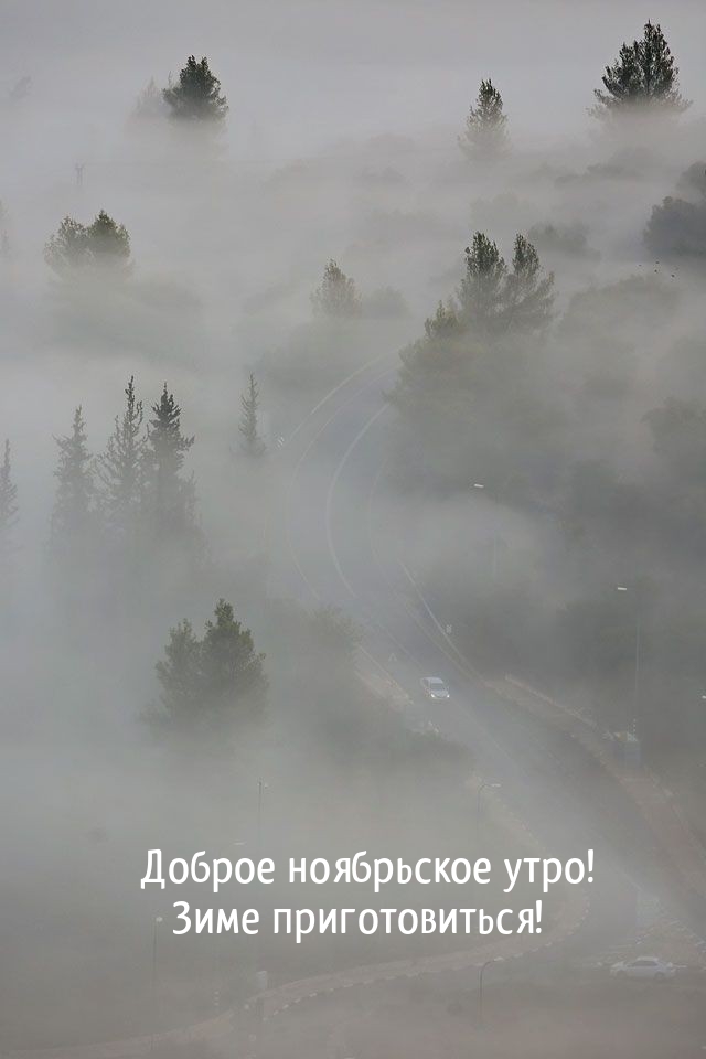 Доброе ноябрьское утро! Зиме приготовиться! 