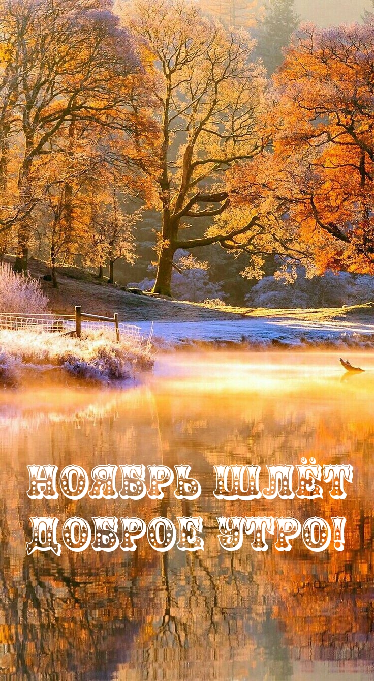 Ноябрь шлёт доброе утро!