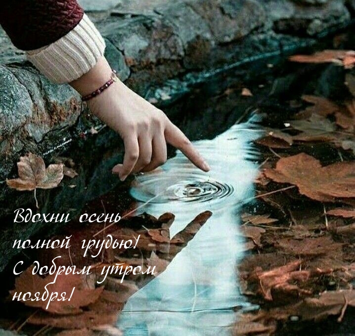 Вдохни осень полной грудью! С добрым утром ноября! 
