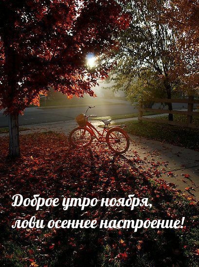 Доброе утро ноября, лови осеннее настроение! 