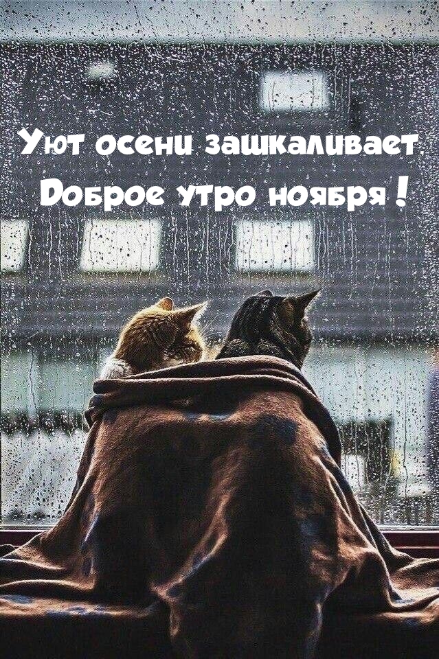Уют осени зашкаливает. Доброе утро ноября! 