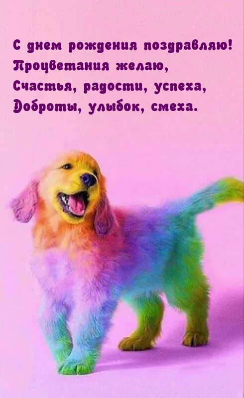 С днем рождения поздравляю! Процветания желаю