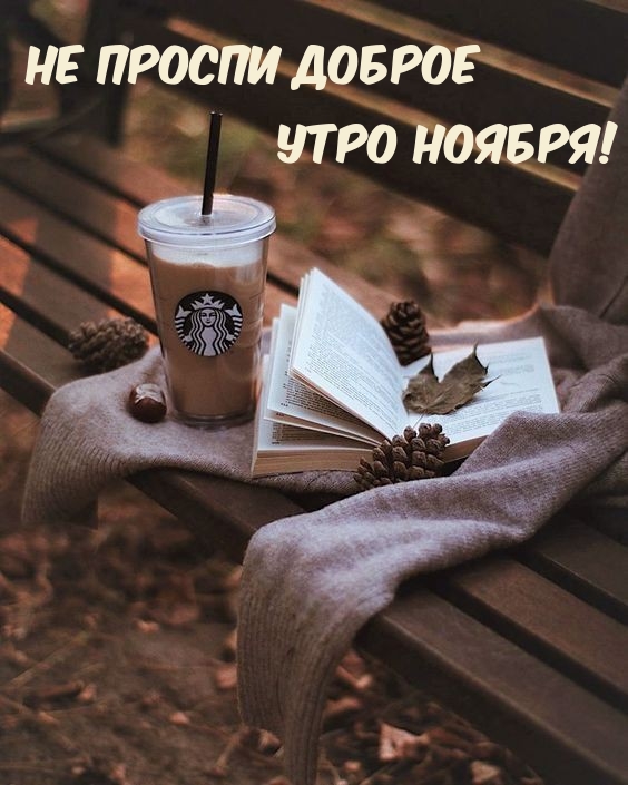 Не проспи доброе утро ноября! 