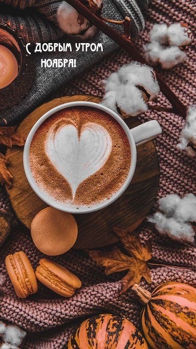 С добрым утром ноября!