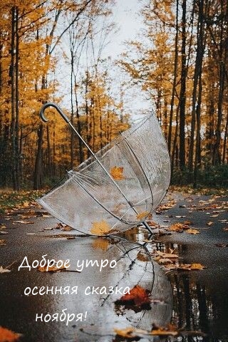 Доброе утро осенняя сказка ноября! 
