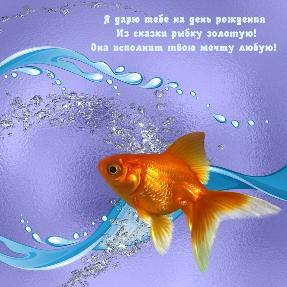 Я дарю тебе на день рождения из сказки рыбку золотую!