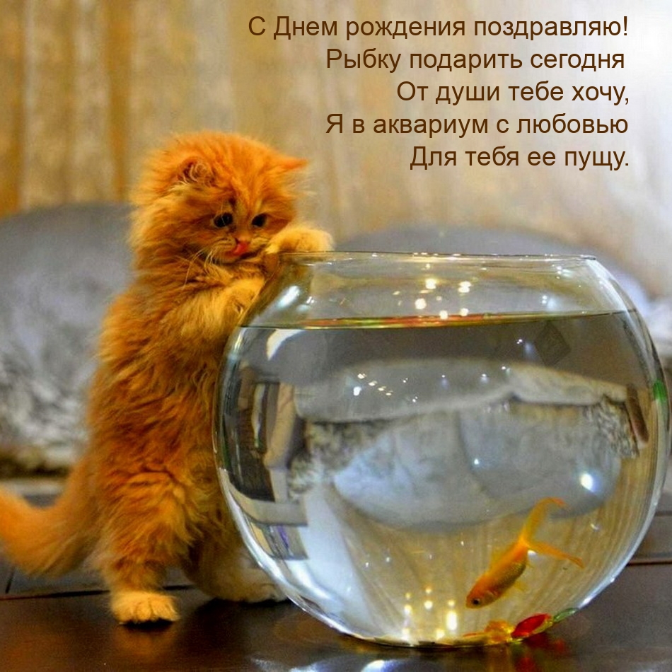 С Днем рождения! Рыбку подарить сегодня от души тебе хочу