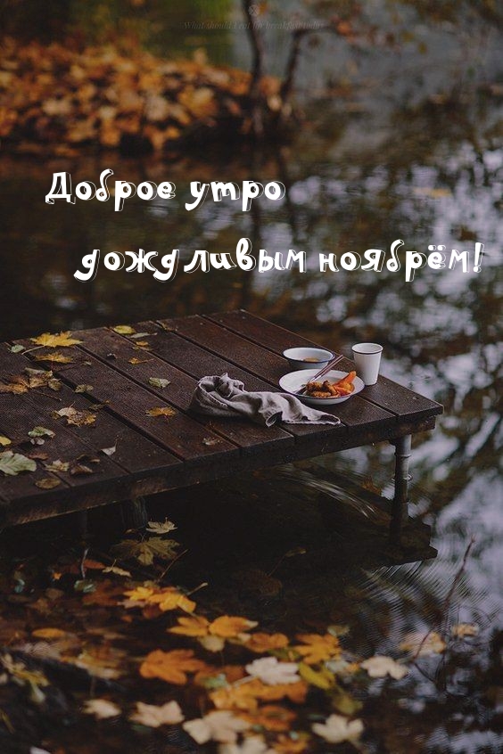 Доброе утро дождливым ноябрём!