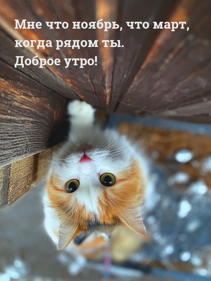 Мне что ноябрь, что март, когда рядом ты. Доброе утро! 